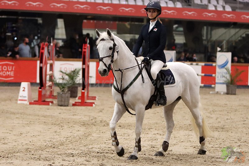 Foto des Ponys Rudgeway Maestro