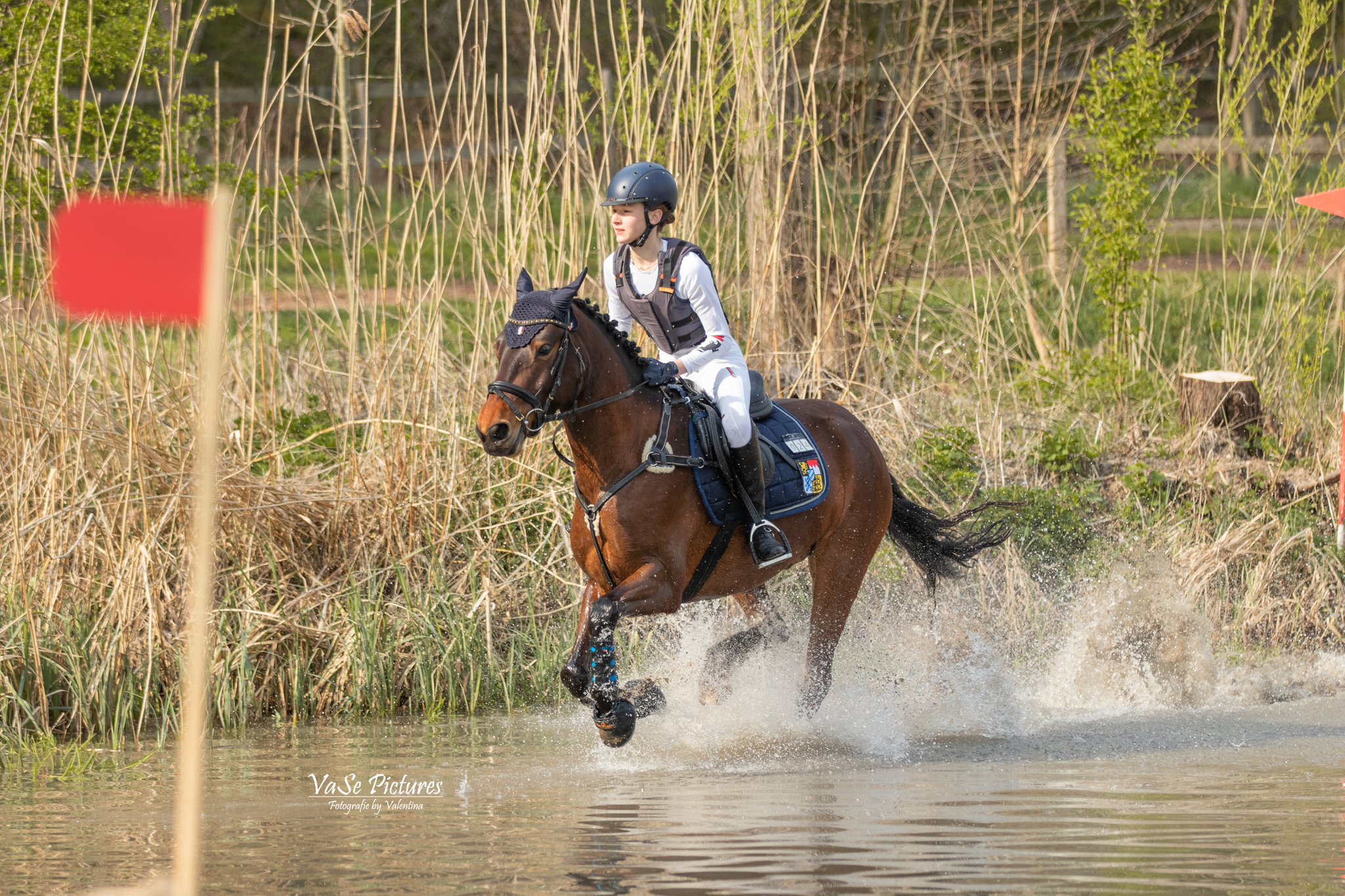 Foto des Ponys Barravalley Henry