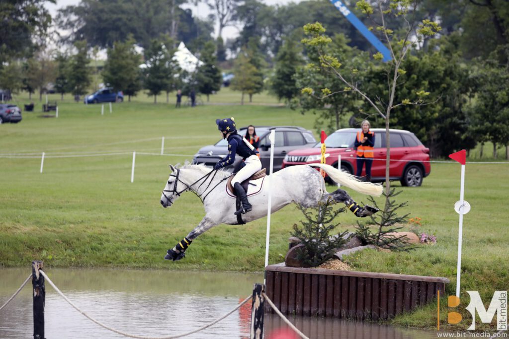 Foto des Ponys Ballyerk Black Beauty