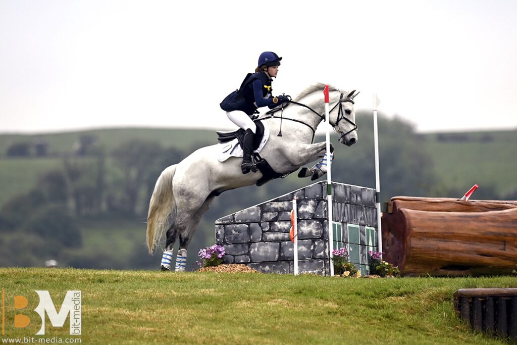 Foto des Ponys Ballylee Roller