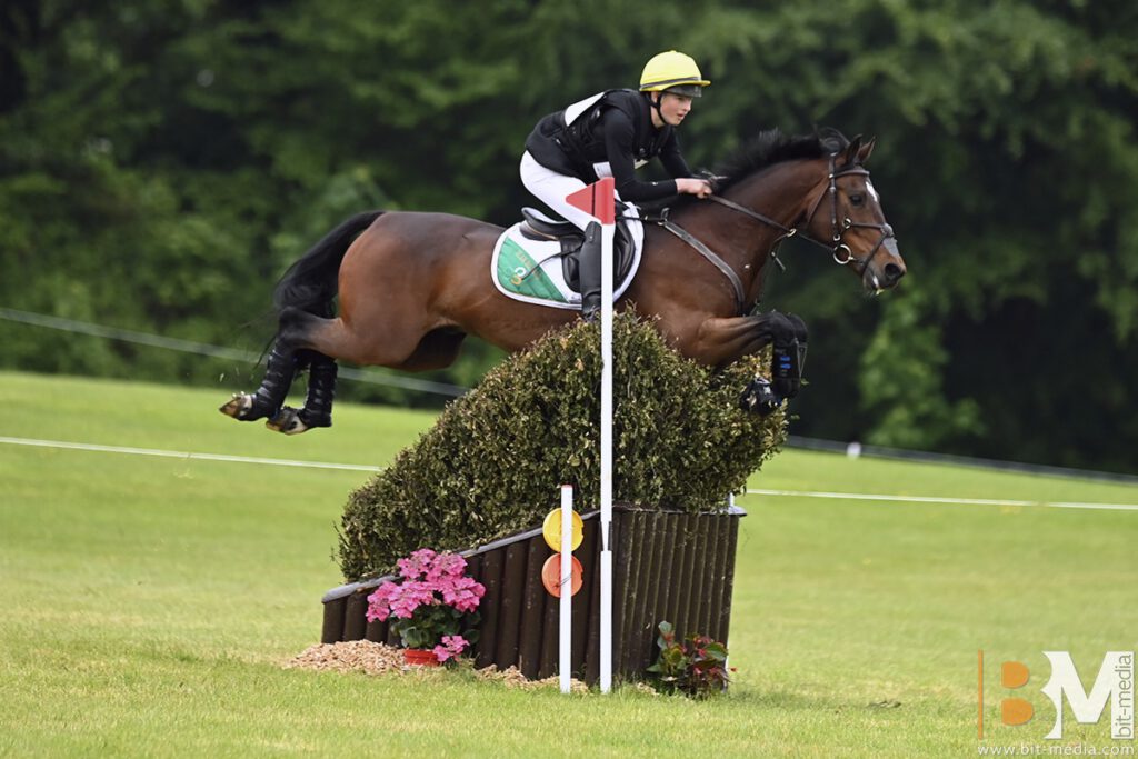 Foto des Ponys Cloughreagh Charlie