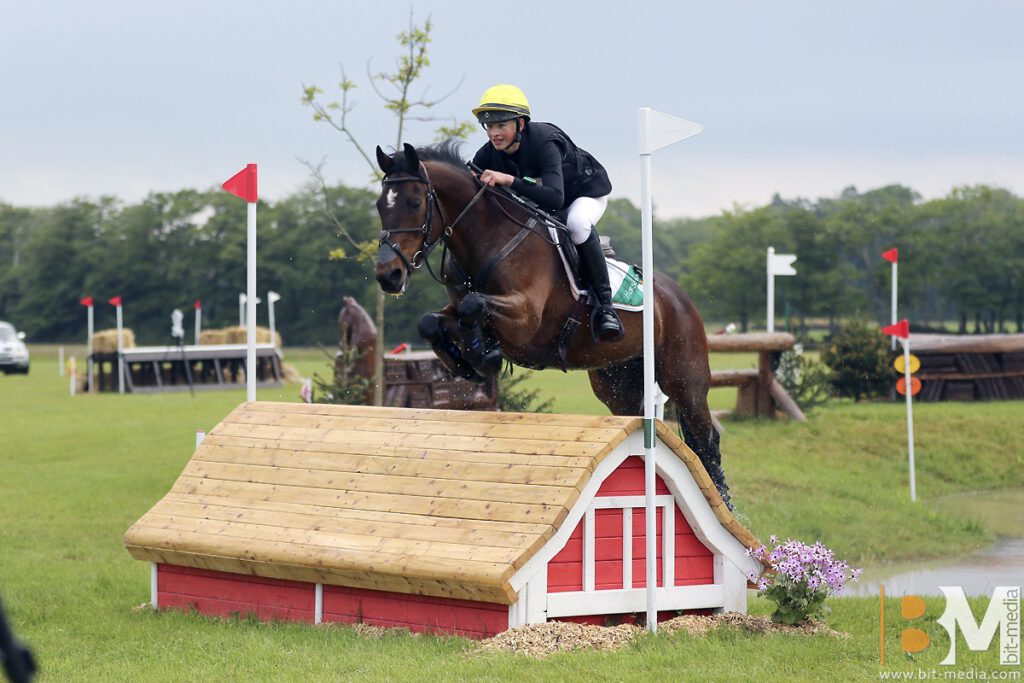 Foto des Ponys Cloughreagh Charlie