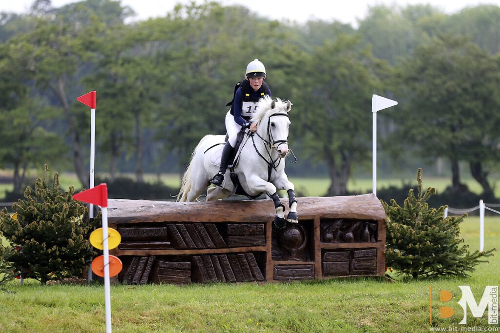 Foto des Ponys Fanta Cross