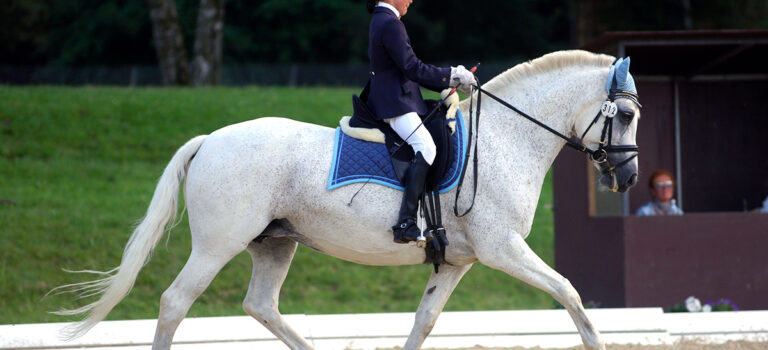 Foto des Ponys Lovely Diamond