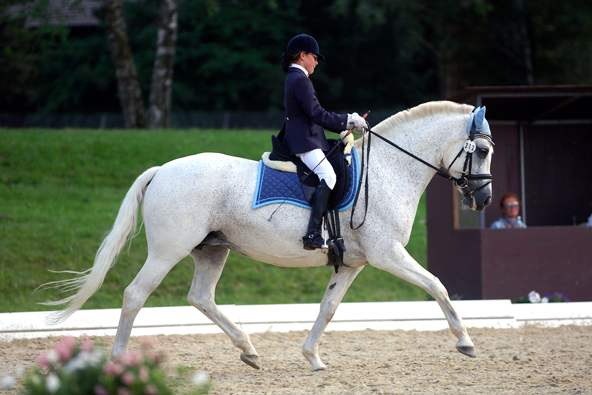 Foto des Ponys Lovely Diamond