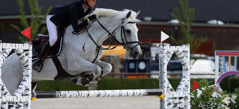 Foto des Ponys Goliath van de Groenweg