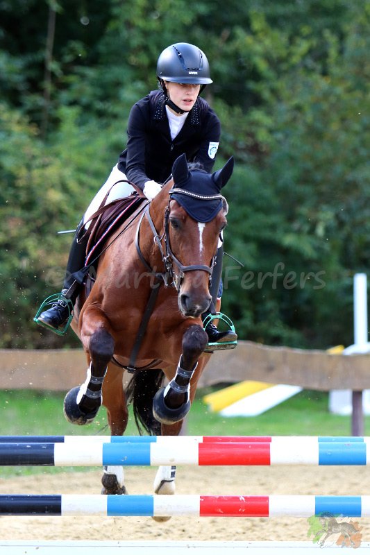 Foto des Ponys Sunshine Fred D