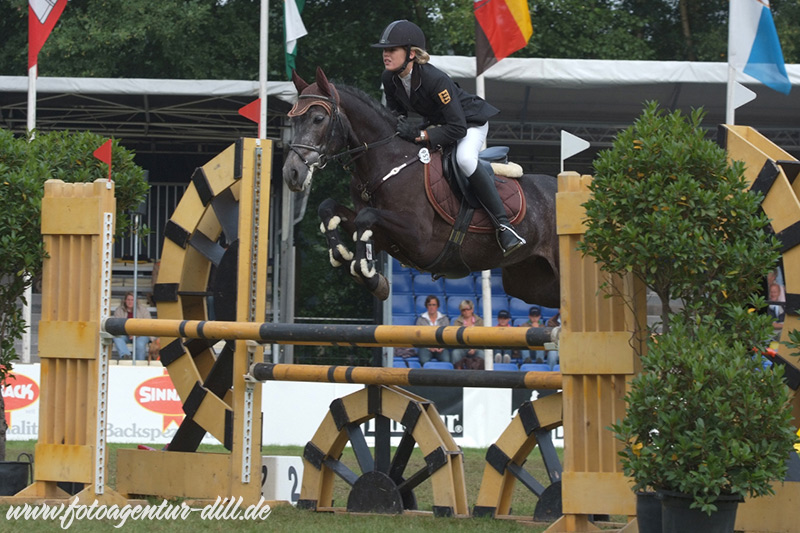 Foto des Ponys Zauberwald Mon Vieux