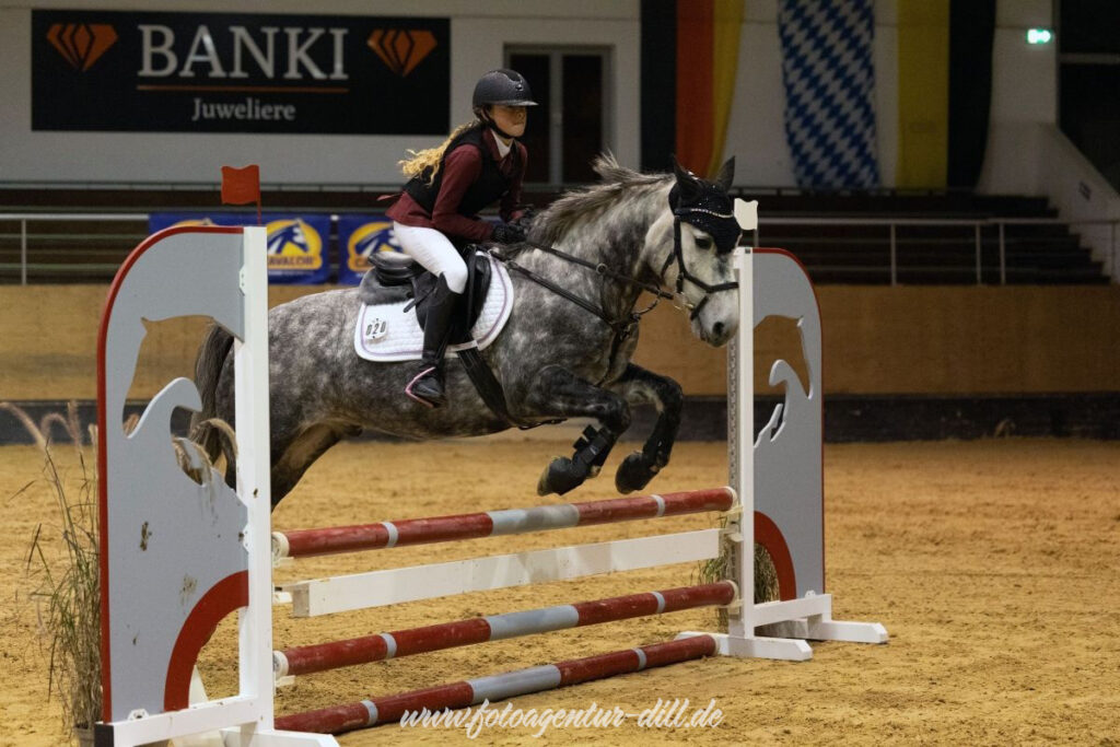 Foto des Ponys Bailey's Daydream