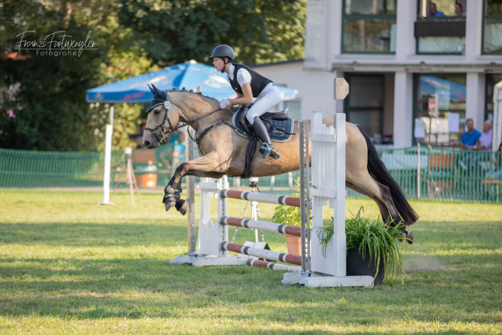 Foto des Ponys Spritely Dreamer