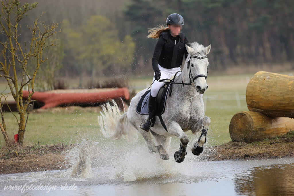 Foto des Ponys Barney grey oyster