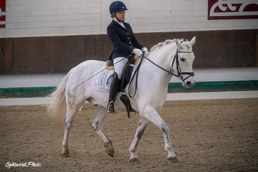 Foto des Ponys Cooper