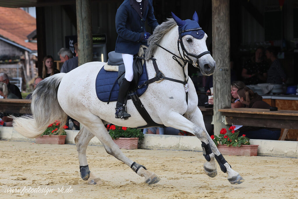 Foto des Ponys Lettermore Richard