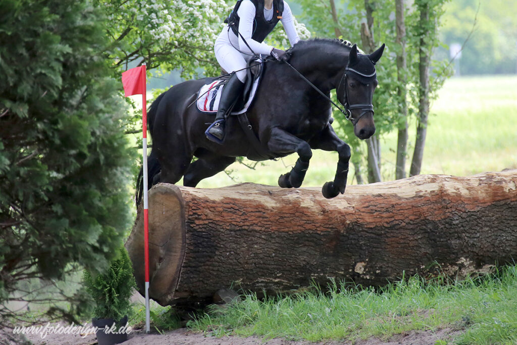 Foto des Ponys Molly Malone Ixes