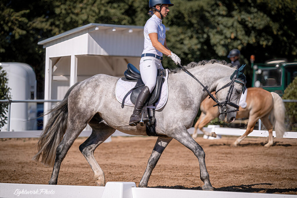 Foto des Ponys Mr. Snowman