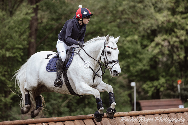 Foto des Ponys Killacloran Cove