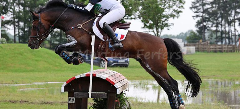 Foto des Ponys Boston du Verdon