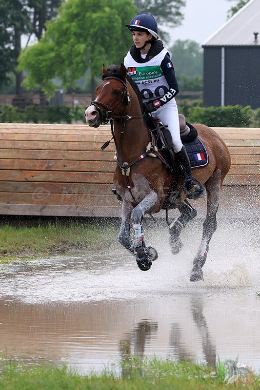 Foto des Ponys Celeste du Montier