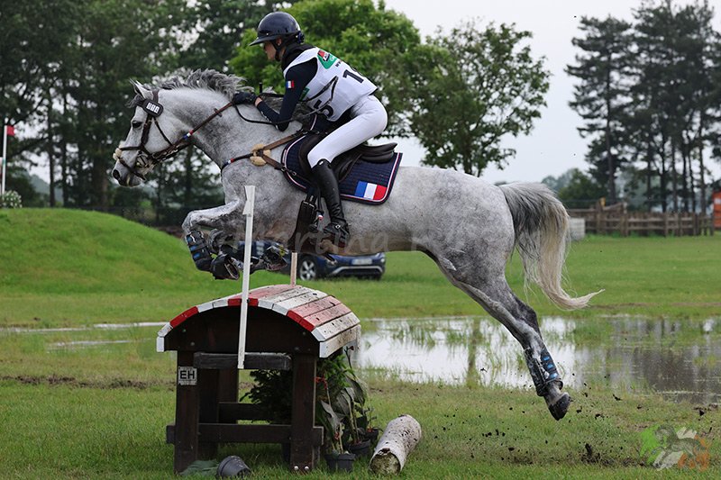 Foto des Ponys Diegoe de St Georges