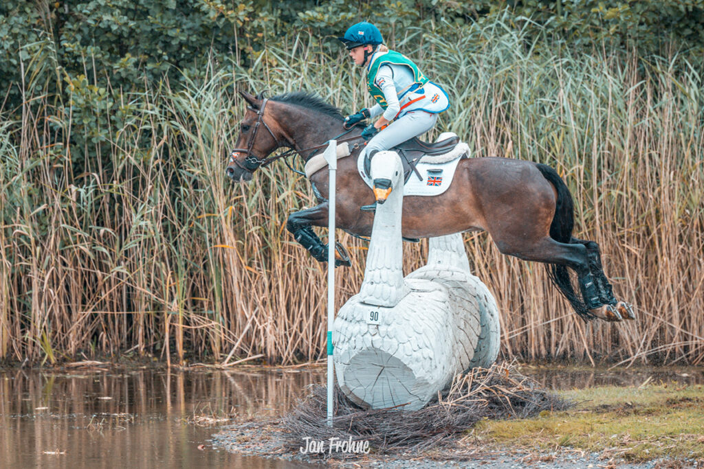 Foto des Ponys Akim de l'Arquerie