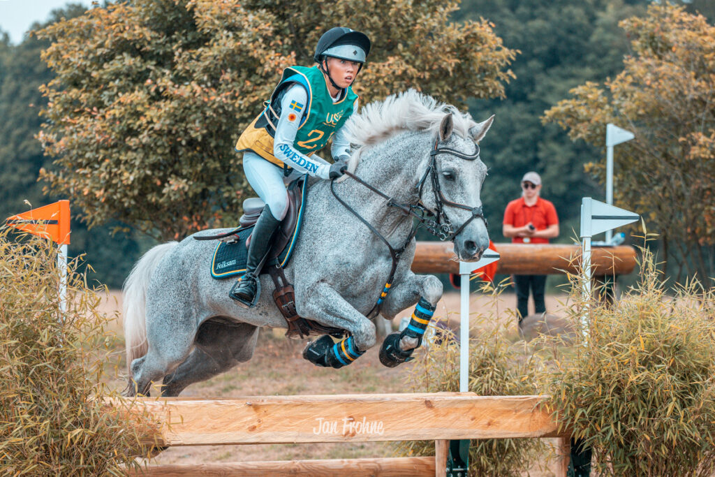 Foto des Ponys Derryhill High Silver Tempo