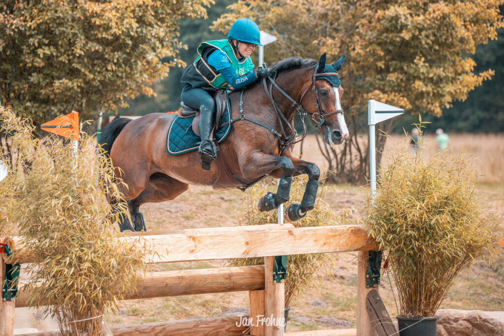 Foto des Ponys Esquisse de Lamouline