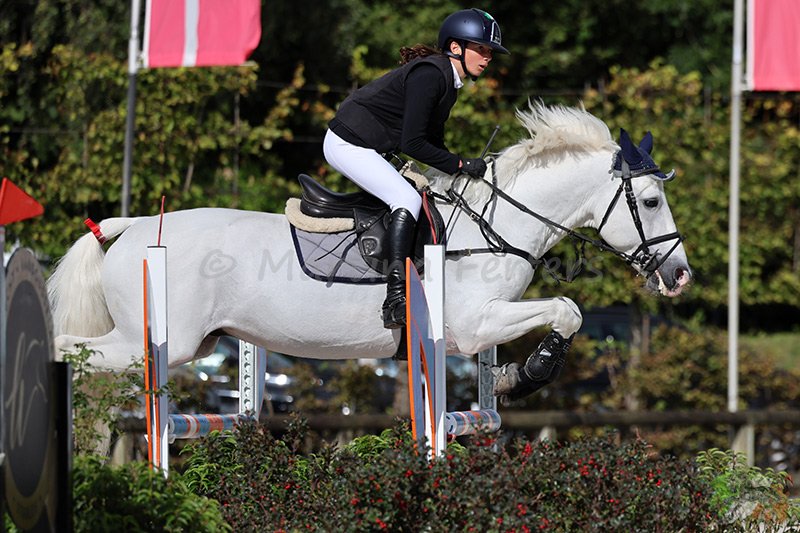 Foto des Ponys Beauty Curl du Marais
