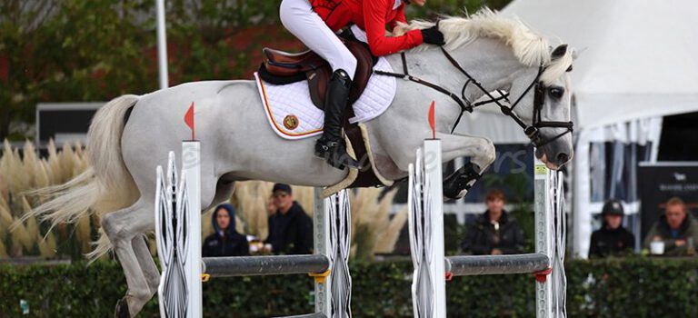 Foto des Ponys Dance Floor du Cauroy