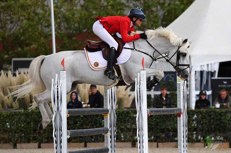 Foto des Ponys Dance Floor du Cauroy