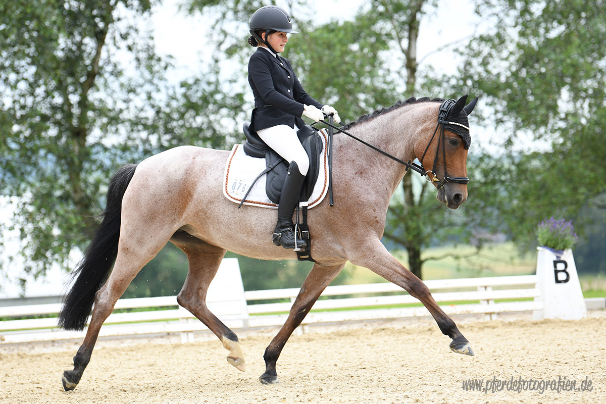 Foto des Ponys Daydream S4