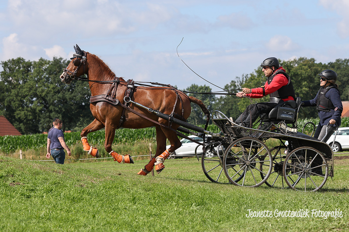 Foto des Ponys Rodeo van de Berg