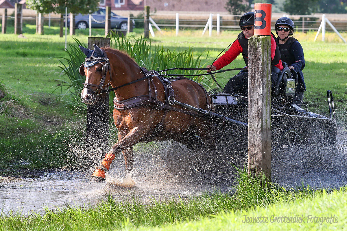 Foto des Ponys Rodeo van de Berg