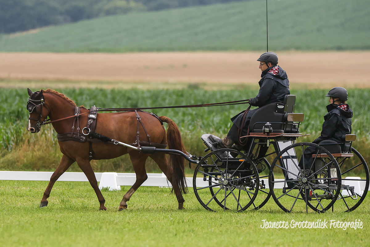 Foto des Ponys Rodeo van de Berg