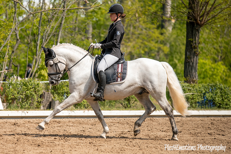 Foto des Ponys Sternbergs Easter Monday