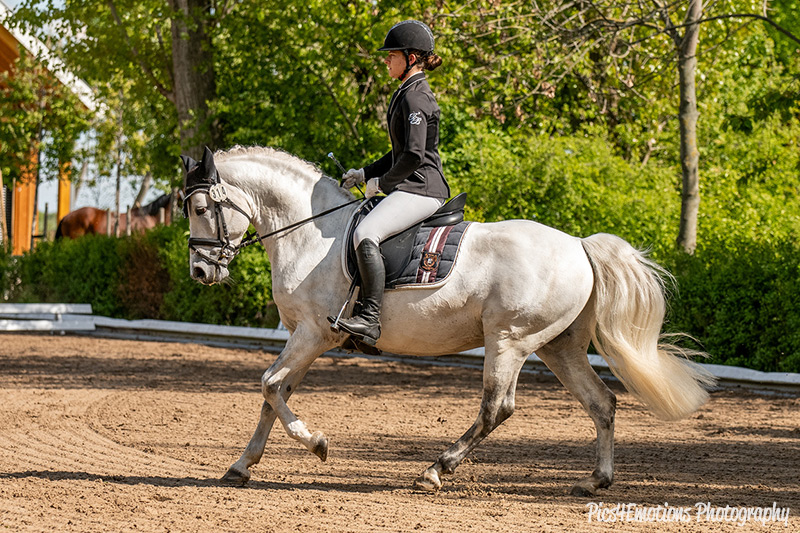 Foto des Ponys Sternbergs Easter Monday