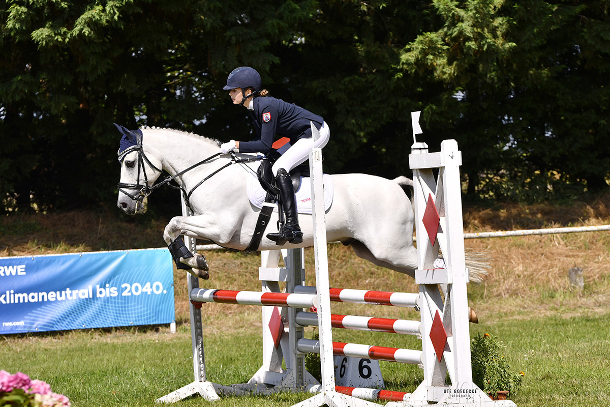 Foto des Ponys Finlay 31