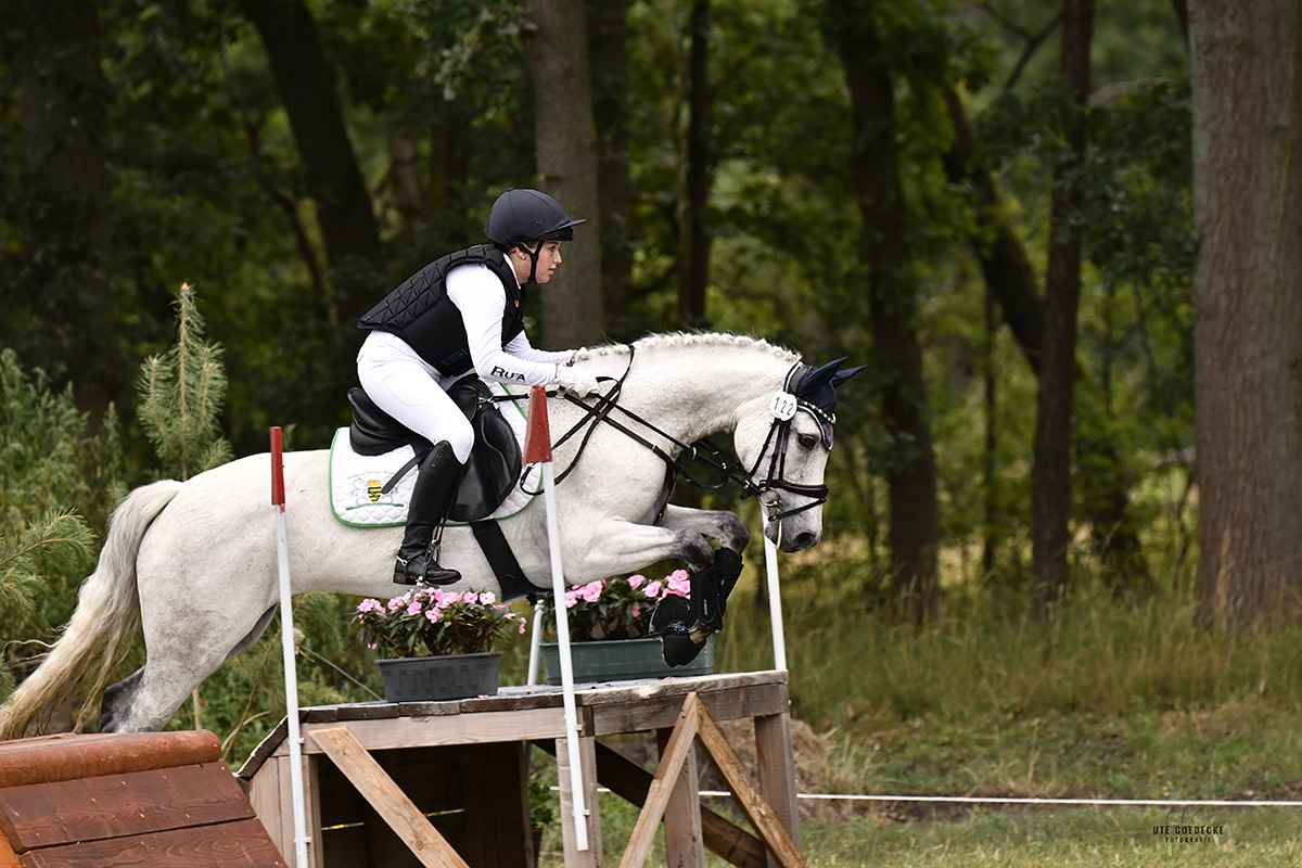 Foto des Ponys Lonsdale Lucky Star