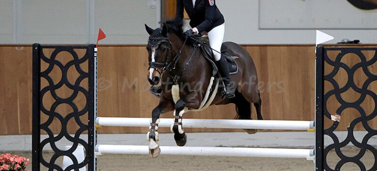 2025-10 Oktober Foto des Ponys Mr. Magic Jimmy B