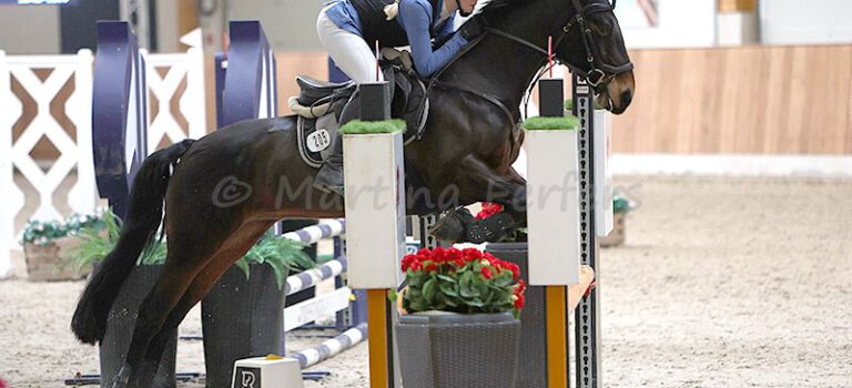 2026-06 Juni Foto des Ponys Ros Star