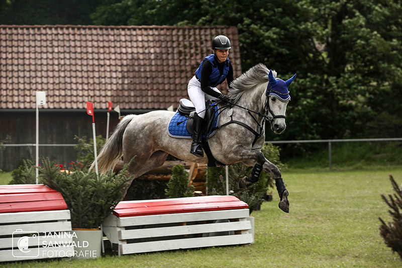 Foto des Ponys Callura Lad