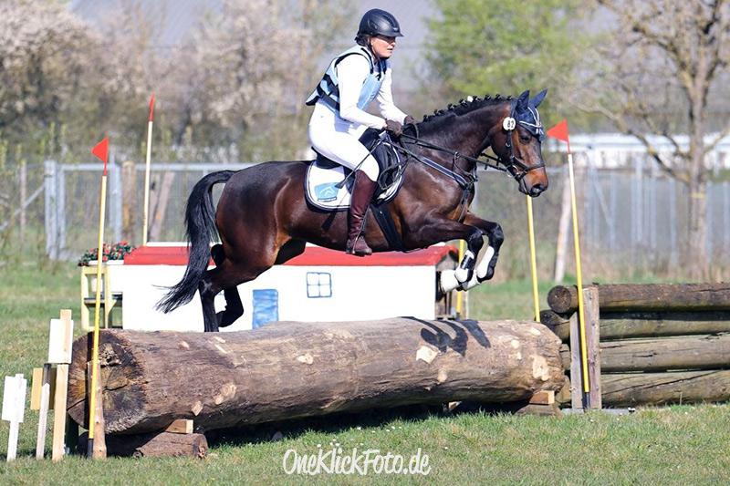 Foto des Ponys Hazel 118