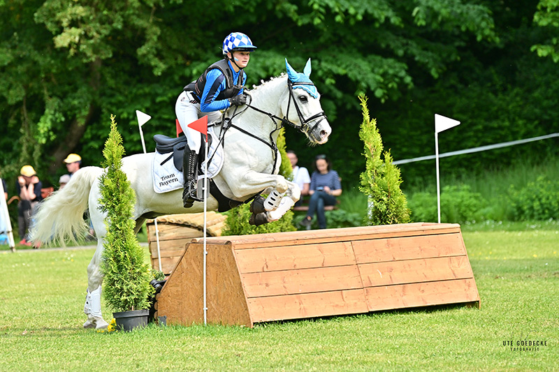 Foto des Ponys Longwood Star