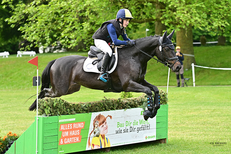 Foto des Ponys Molly Malone Ixes