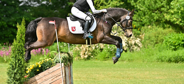 Foto des Ponys Murphy