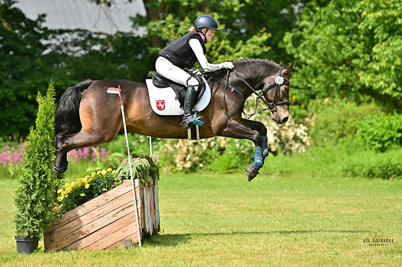 Foto des Ponys Murphy