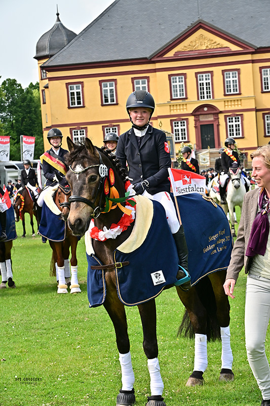 Foto des Ponys Murphy