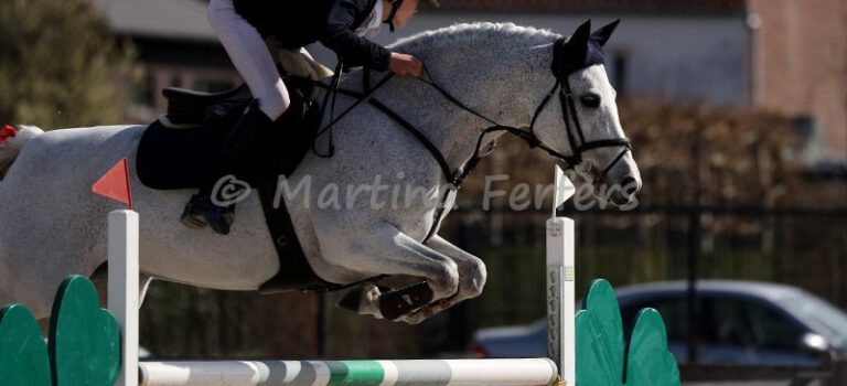 Foto des Ponys Poetic's Floura