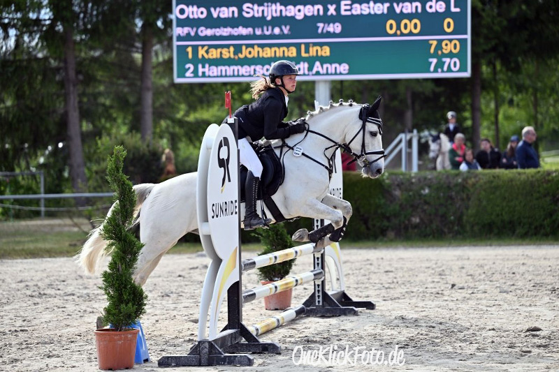 Foto des Ponys Wietse van de Leliaard