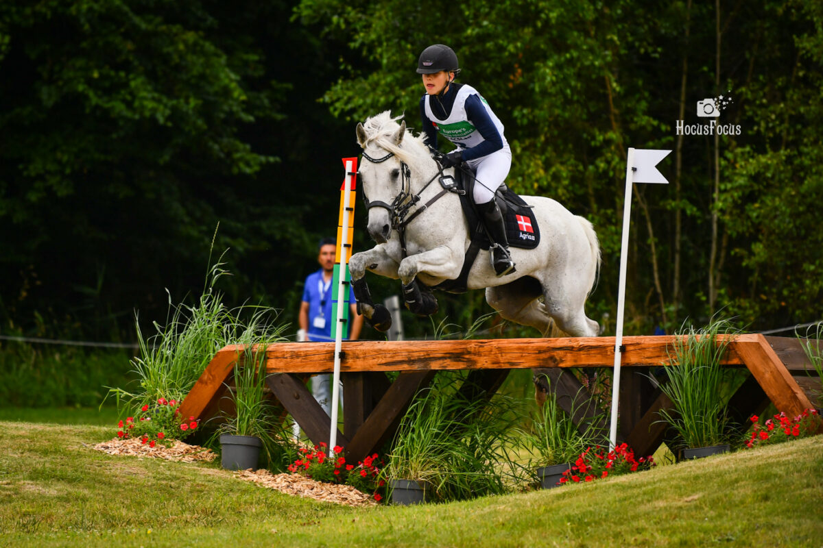 Foto des Ponys AC-Star Quickie af Engvang