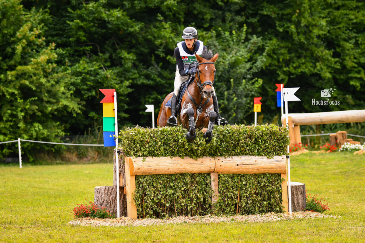 Foto des Ponys Ballylee VIlla Lass